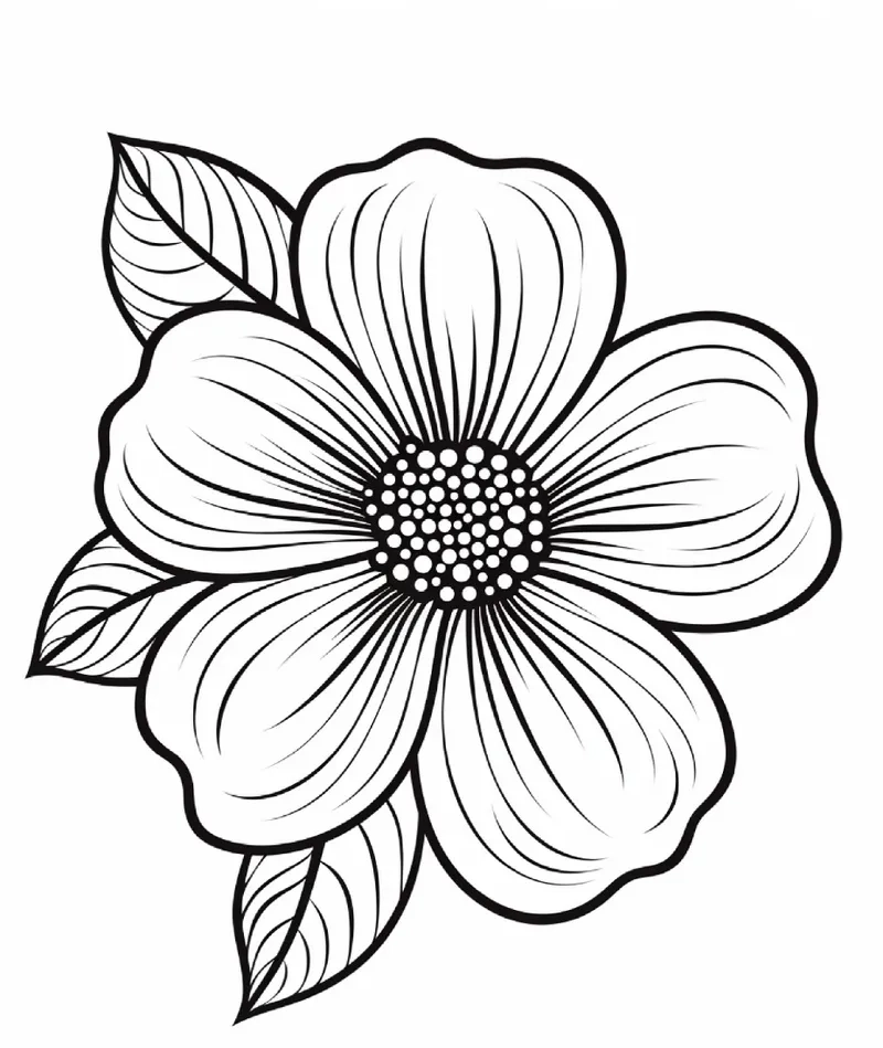 Bé vui học với tô màu hoa 5 cánh cho bé