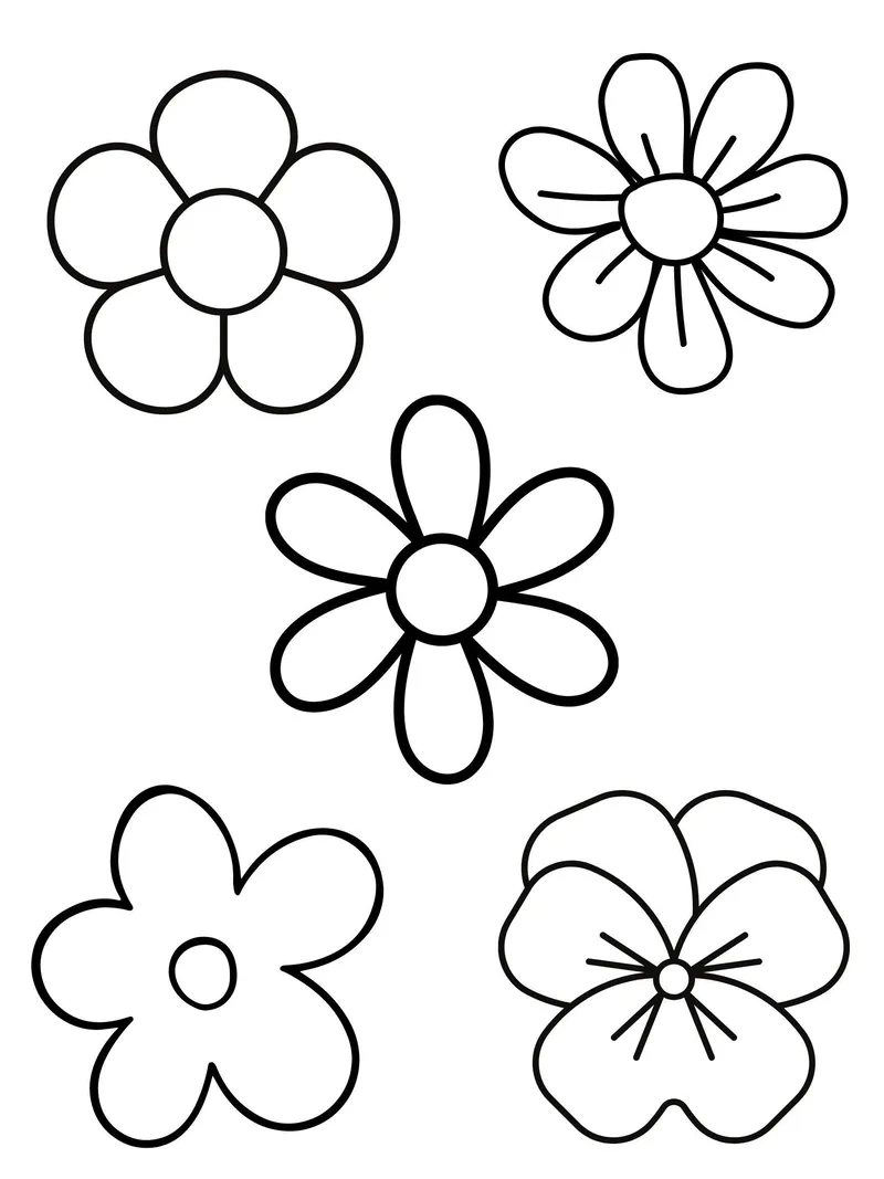 Trắng đen sinh động cùng tô màu hoa 5 cánh đen trắng