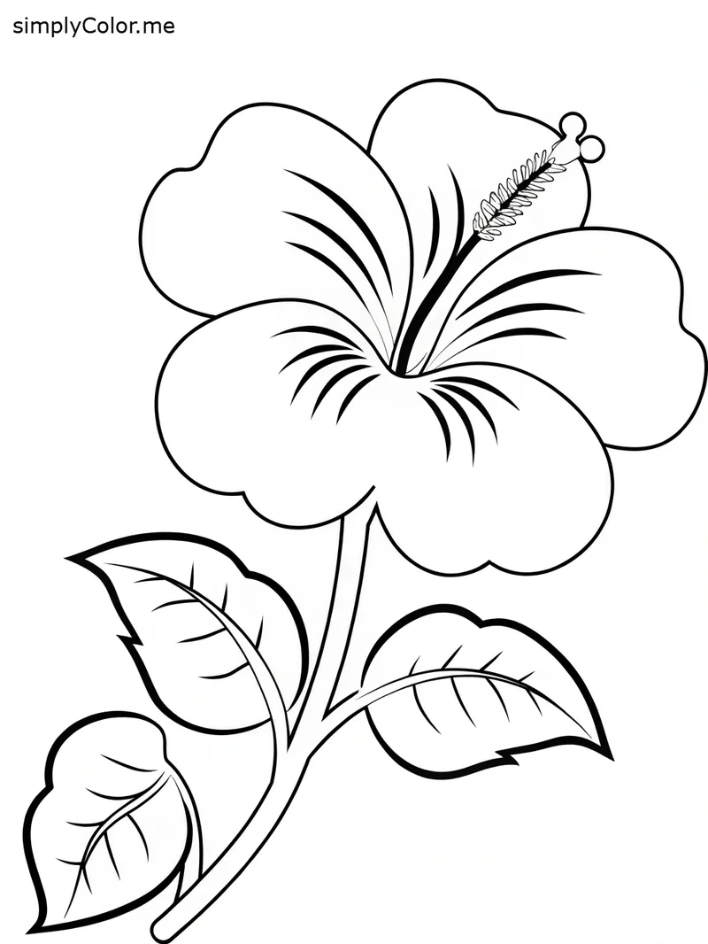 Mẫu giáo vui học với tô màu hoa 5 cánh mẫu giáo