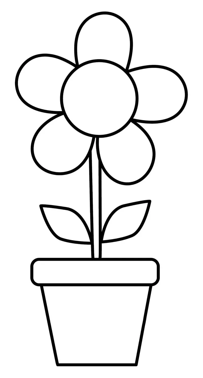 Siêu dễ thương với tô màu hoa 5 cánh dễ thương