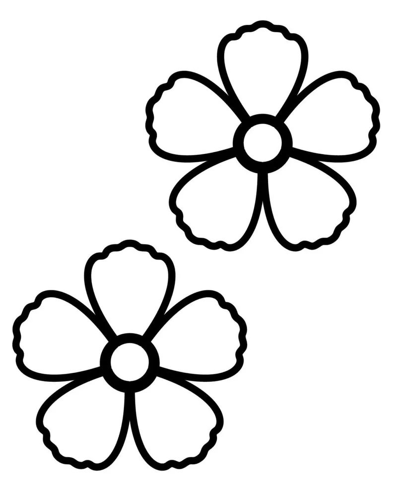 Thỏa sức sáng tạo cùng mẫu hoa 5 cánh tô màu