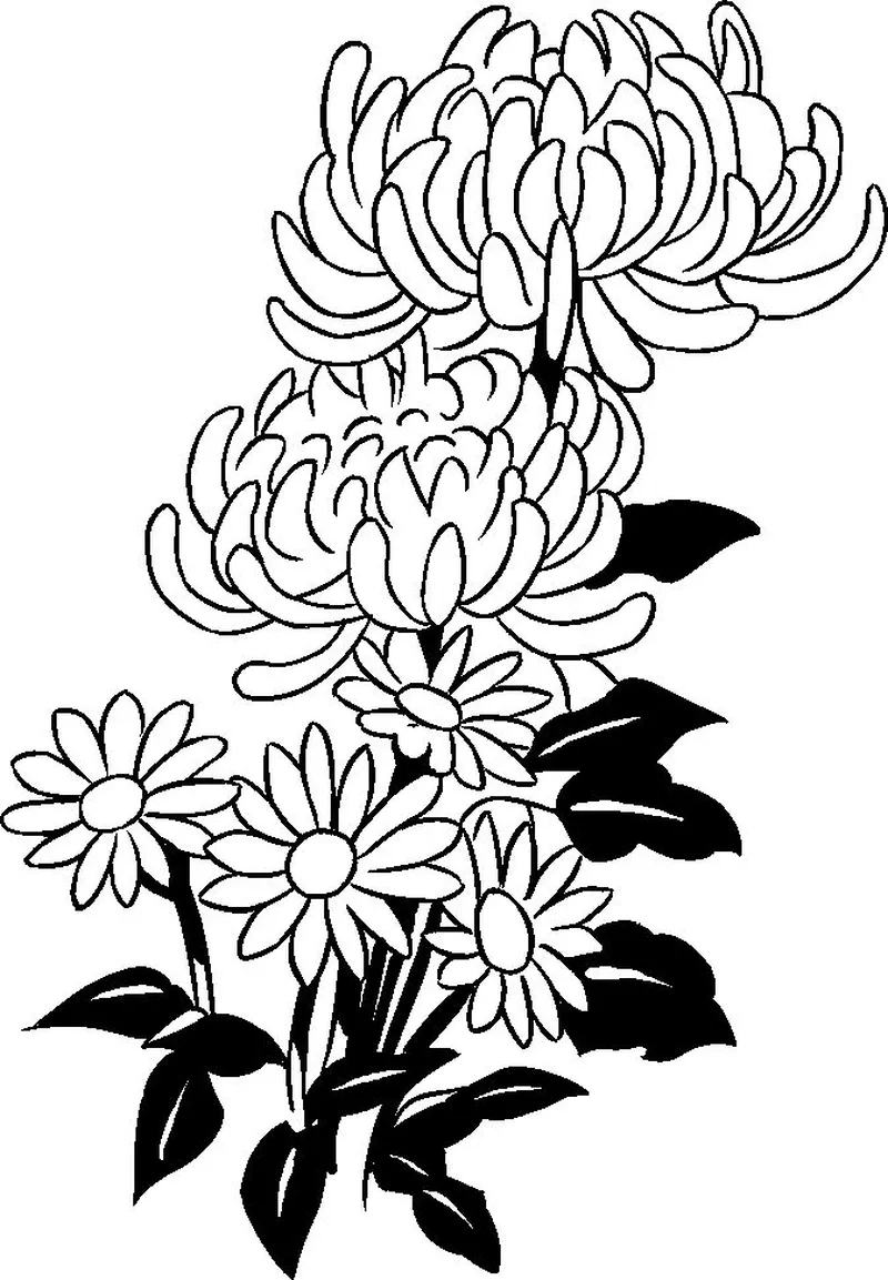 Bé học vui với tô màu hoa cúc đơn giản