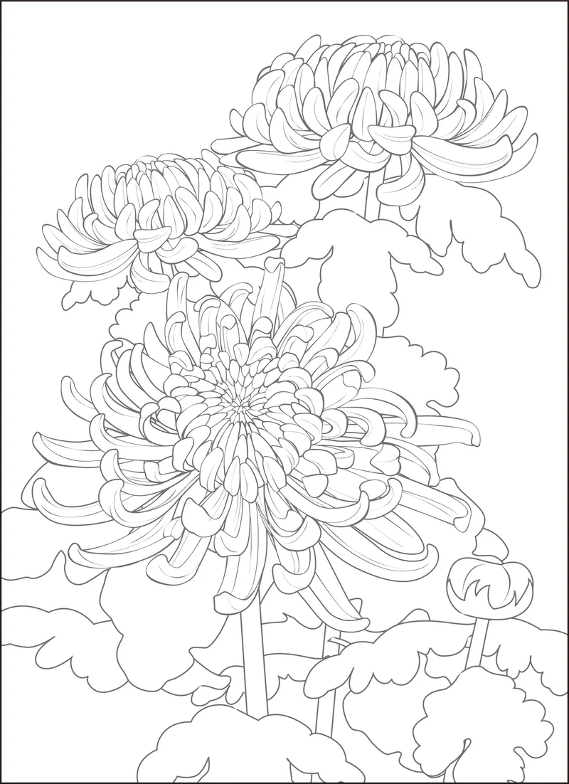 Khám phá nghệ thuật với tranh tô màu bông cúc