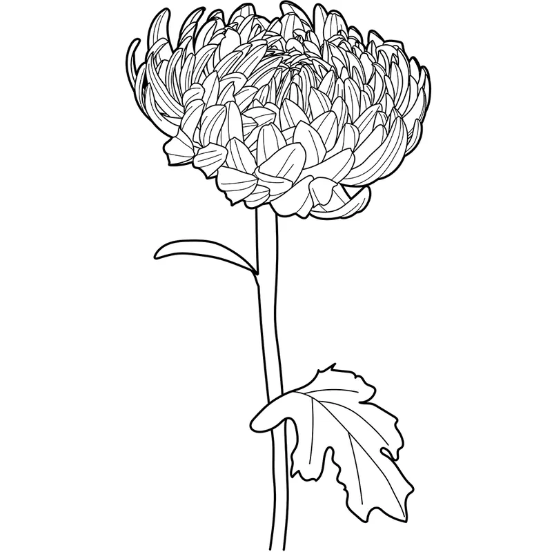 Hoạt động thú vị cho tô màu hoa cúc thiếu nhi