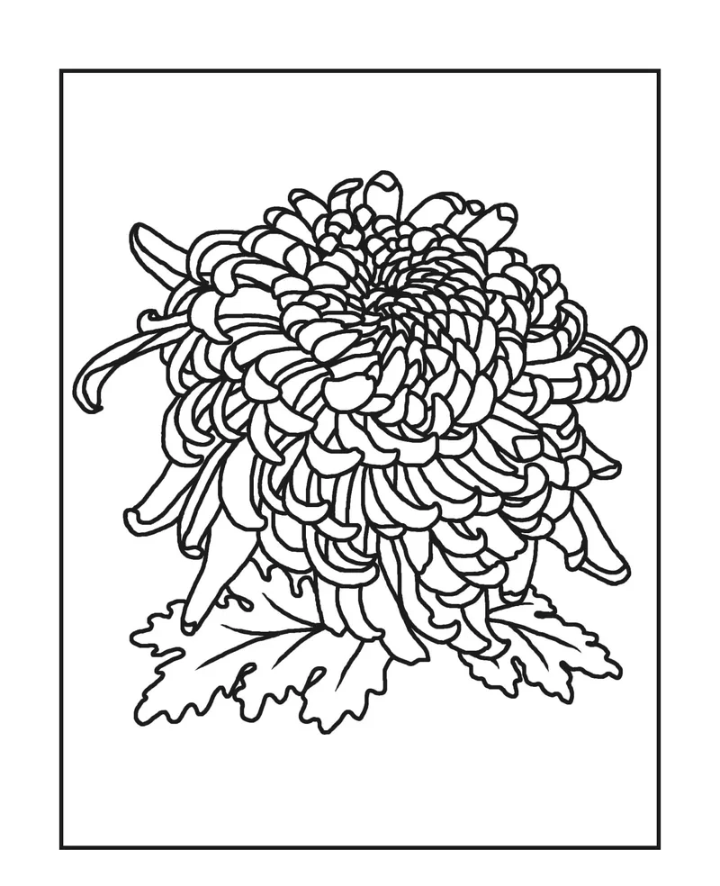 Giữ gìn truyền thống với tô màu hoa cúc truyền thống