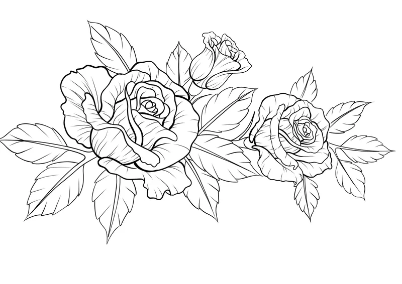 Khám phá tô màu hoa hồng đẹp ngay hôm nay