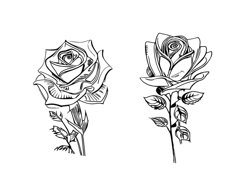 Thử ngay tô màu hoa hồng nét to siêu dễ