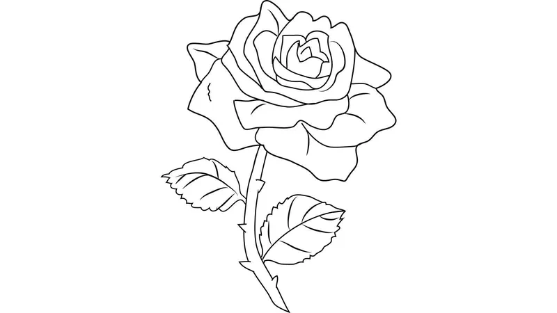 Khám phá tô màu hoa hồng free không giới hạn