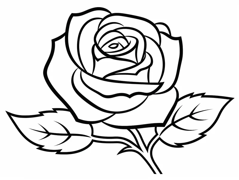 Bé thích thú với tô màu bông hoa hồng đơn giản