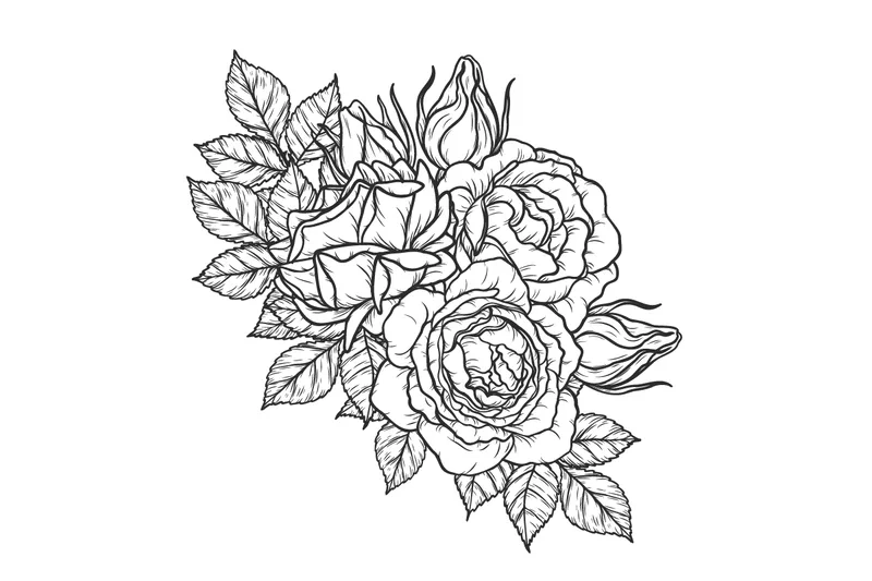 Tô màu hoa hồng là gì và vì sao thu hút đến vậy