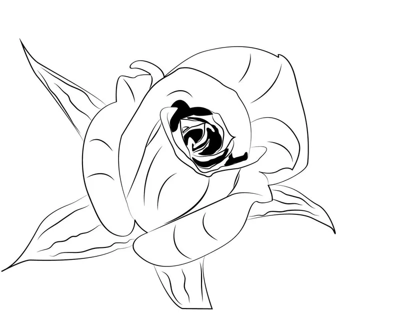 Học sinh thích tô màu hoa hồng tiểu học sáng tạo