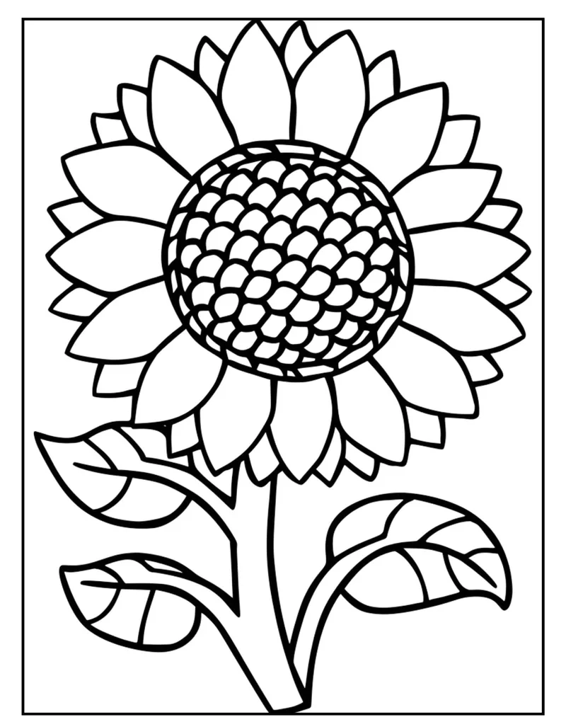 Trải nghiệm lớn với tô màu hoa hướng dương lớn