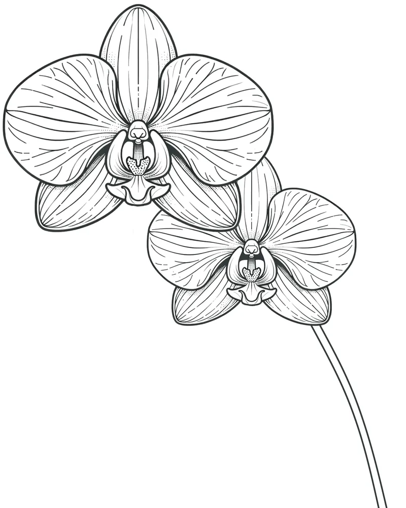 In tiện lợi tranh tô màu hoa lan a4