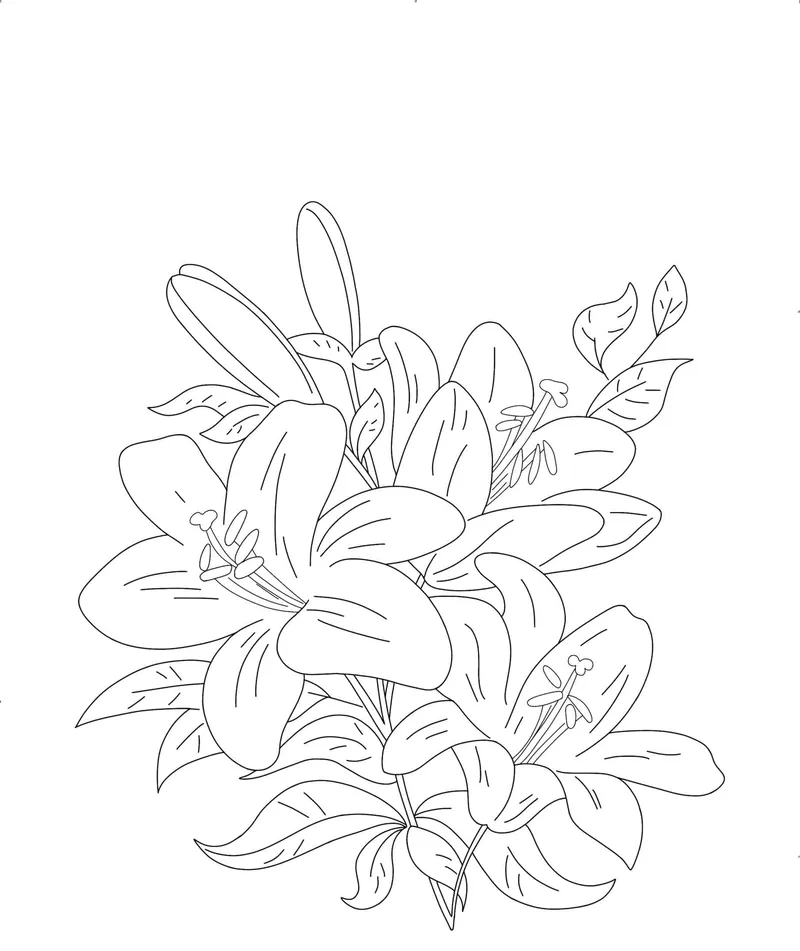 Tô màu hoa ly là gì và vì sao được yêu thích