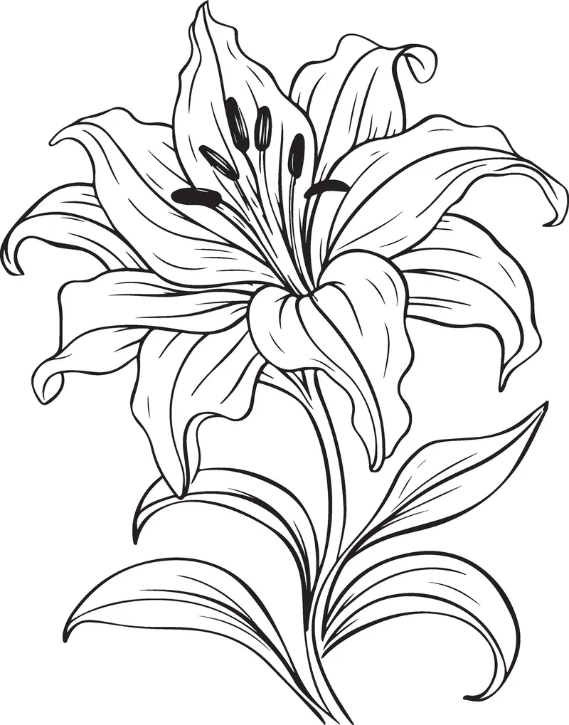 Bé vui thích bé tập tô hoa ly tại nhà