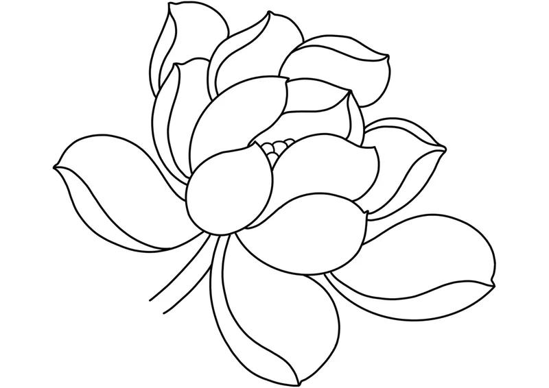 Khám phá tô màu hoa sen đẹp cùng bé yêu