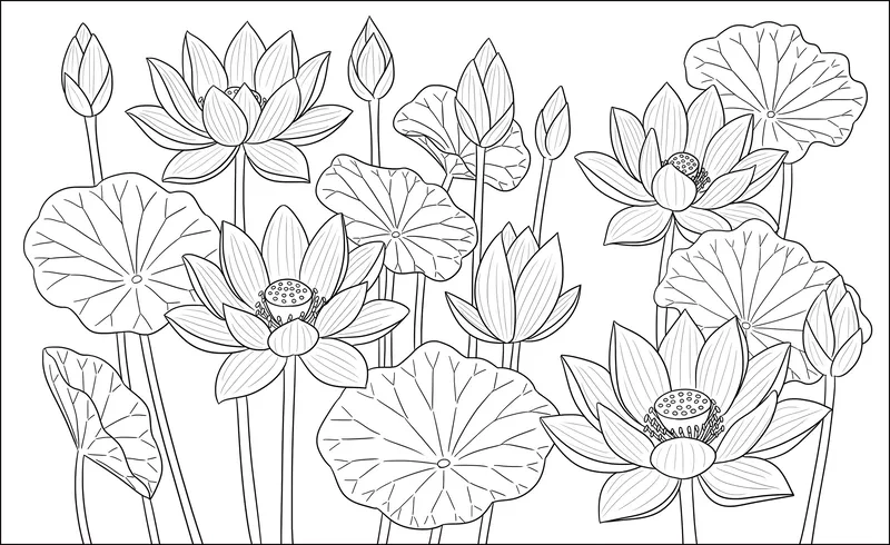 Thỏa sức sáng tạo với tranh tô màu hoa sen đẹp