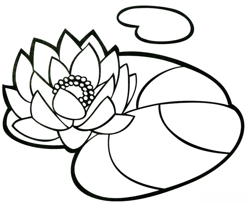 Thử ngay tô màu hoa sen đường nét to cho bé tập tô