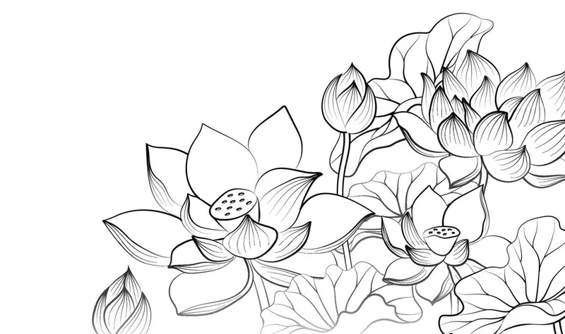 Bé mẫu giáo sáng tạo với tô màu hoa sen mẫu giáo