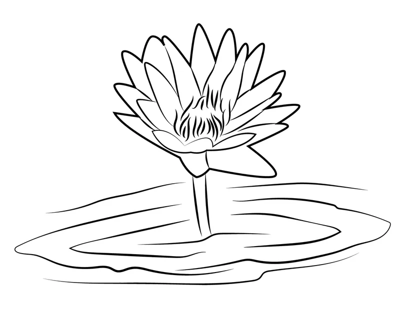 Tải ngay tải tranh tô màu hoa sen cho bé vui chơi