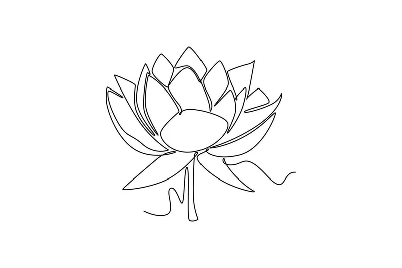 Hoạt động thú vị cho tô màu hoa sen thiếu nhi