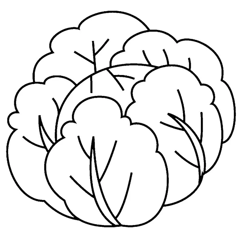 Tải tranh tô màu cây bắp cải miễn phí