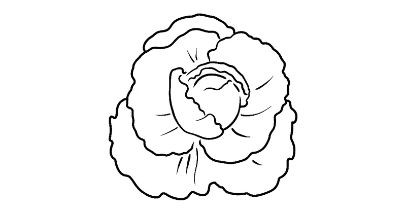 Tìm kiếm sách tranh tô màu cây bắp cải