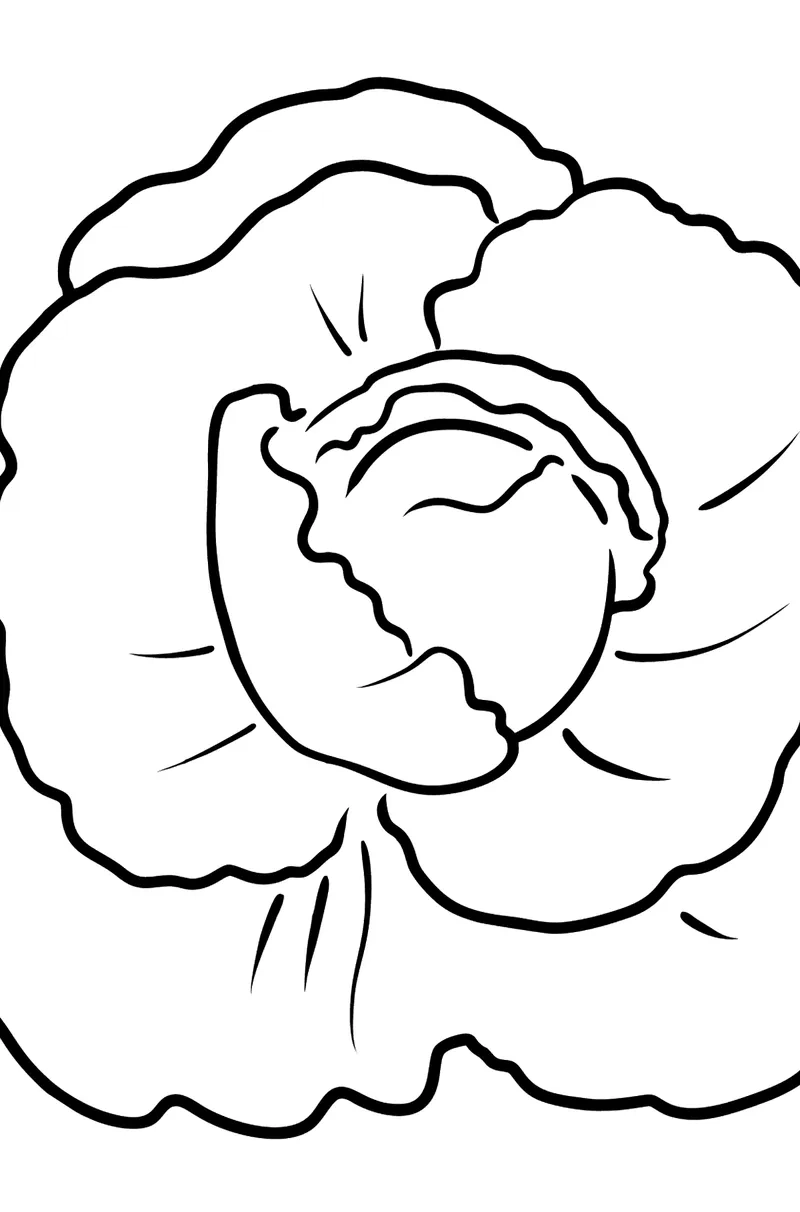 Hình vẽ tranh tô màu cây bắp cải