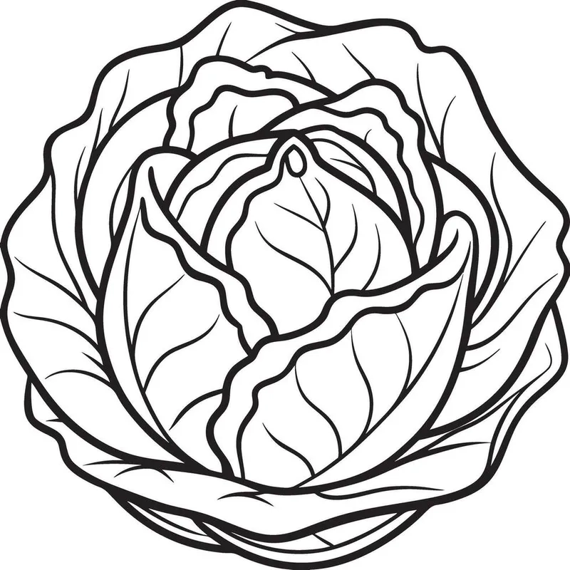 Tranh tô màu cây bắp cải đơn giản cho bé