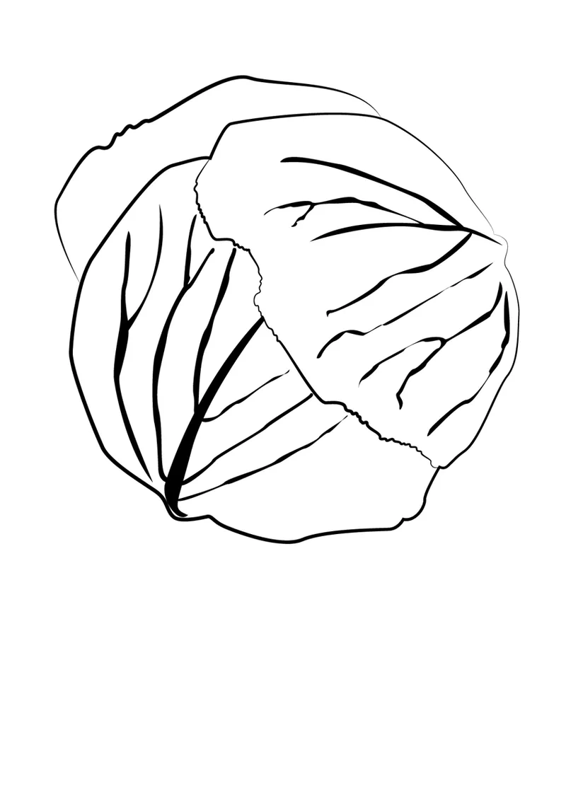 Bé thích tranh tô màu cây bắp cải hoạt hình