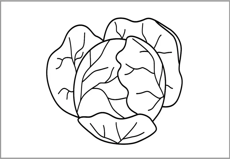 Tranh tô màu cây bắp cải dễ thương