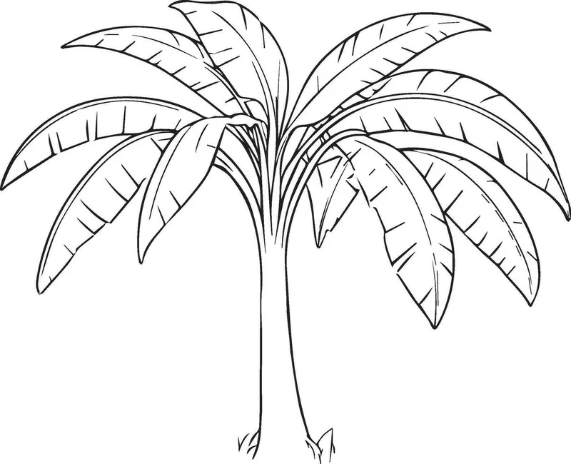 Tranh tô màu cây chuối dễ thương