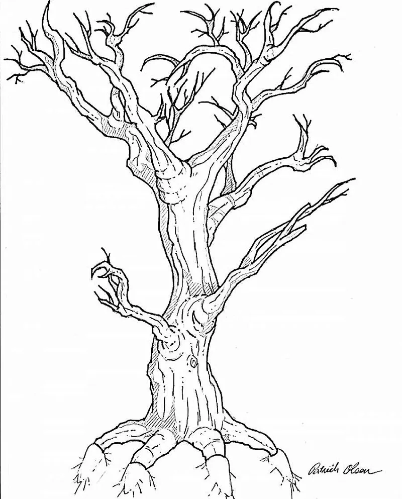Tranh tô màu cây cổ thụ đơn giản