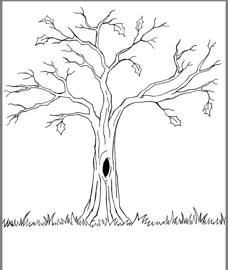 Tìm kiếm sách tranh tô màu cây cổ thụ