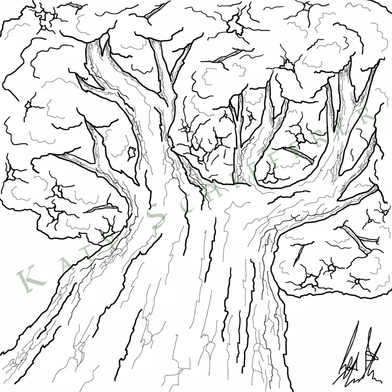 Tham khảo mẫu tranh tô màu cây cổ thụ