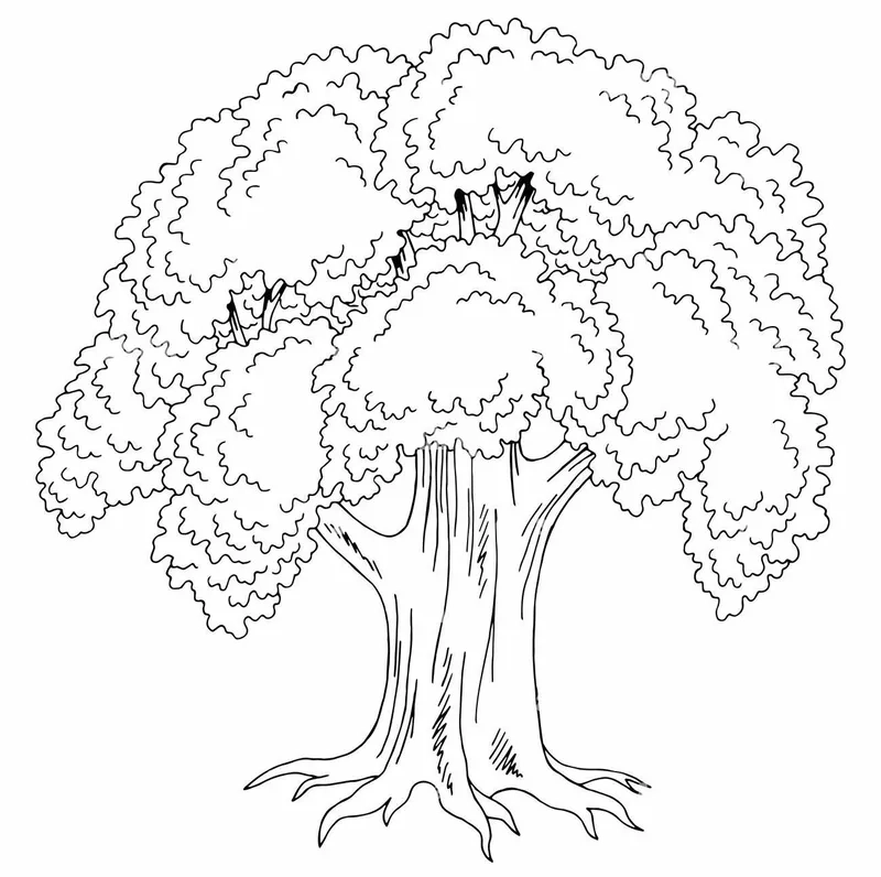 Tranh tô màu cây cổ thụ cho bé mầm non