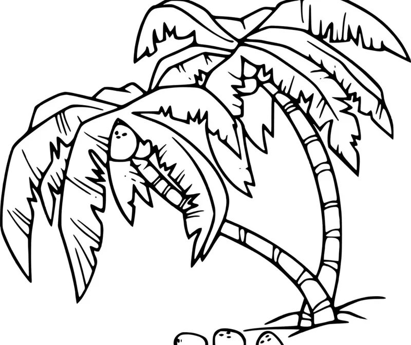 Chiêm ngưỡng tranh tô màu cây dừa đẹp