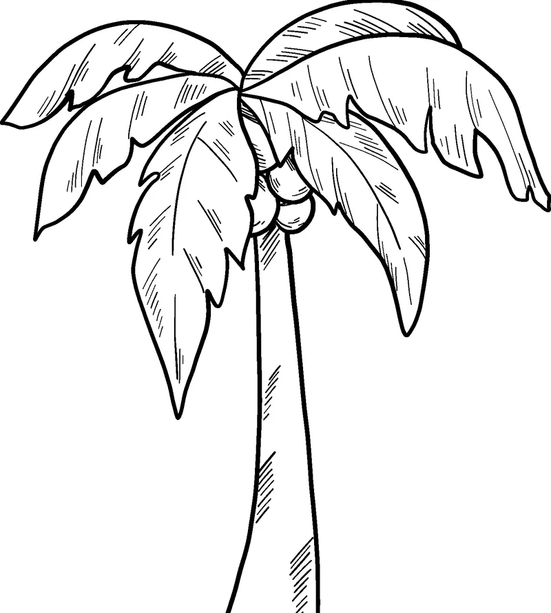 Tranh tô màu cây dừa mầm non