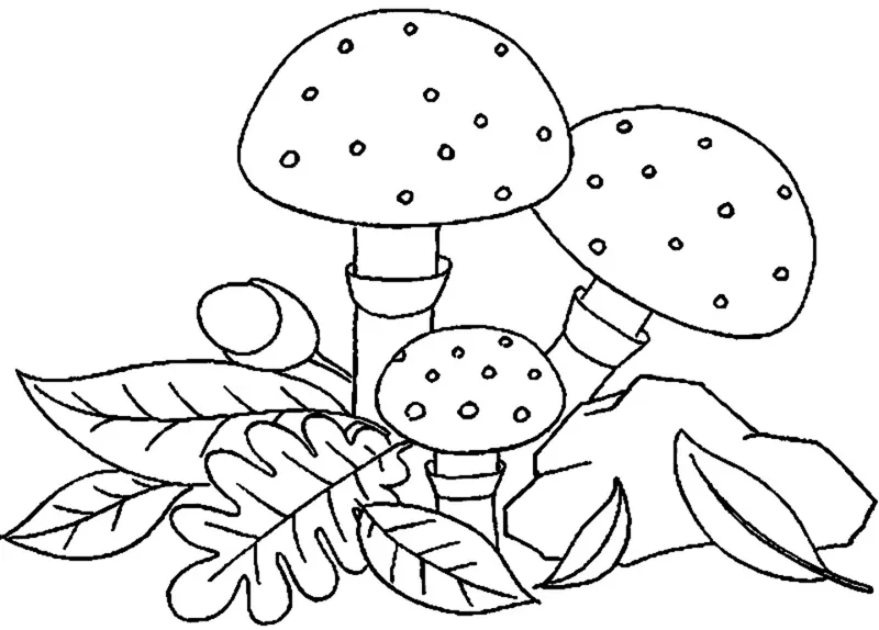 Cùng bé tập tô màu cây nấm