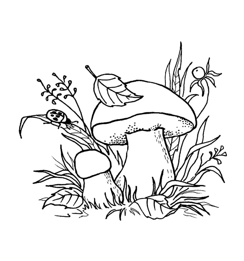 Tham khảo mẫu tô màu cây nấm