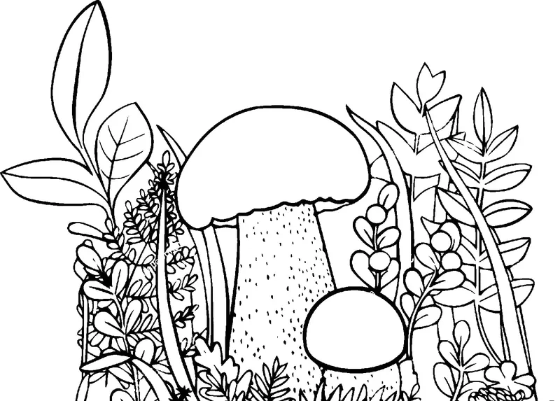 Tranh tô màu chủ đề thiên nhiên