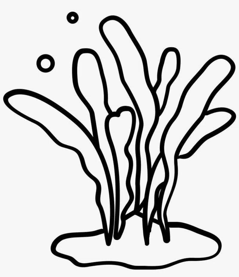 Tải tranh tô màu cây rong biển miễn phí