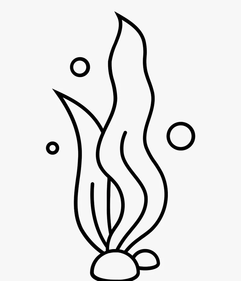 Hình vẽ tranh tô màu cây rong biển