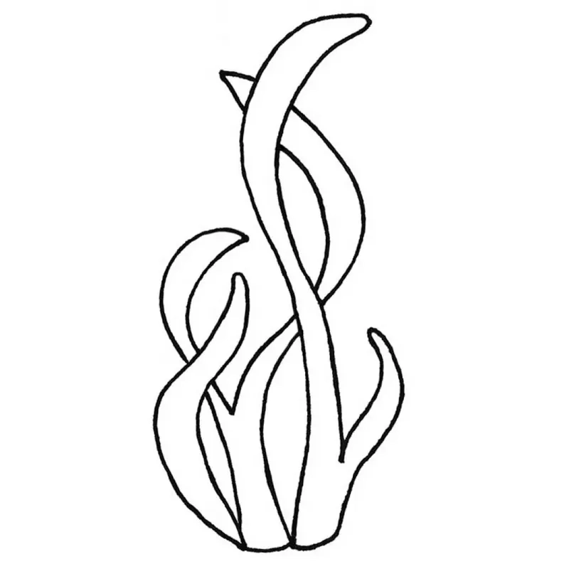 Mẫu tranh tô màu cây rong biển