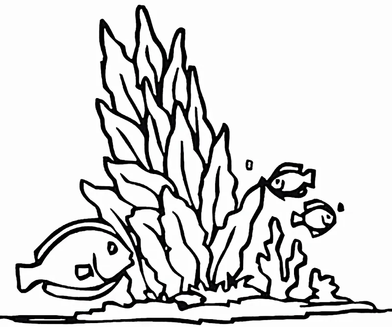 Tranh tô màu cây rong biển và cá