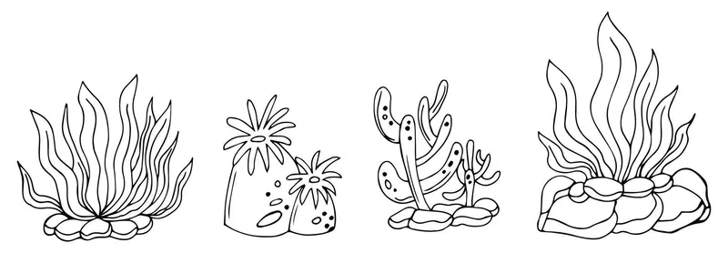 Sách tranh tô màu cây rong biển