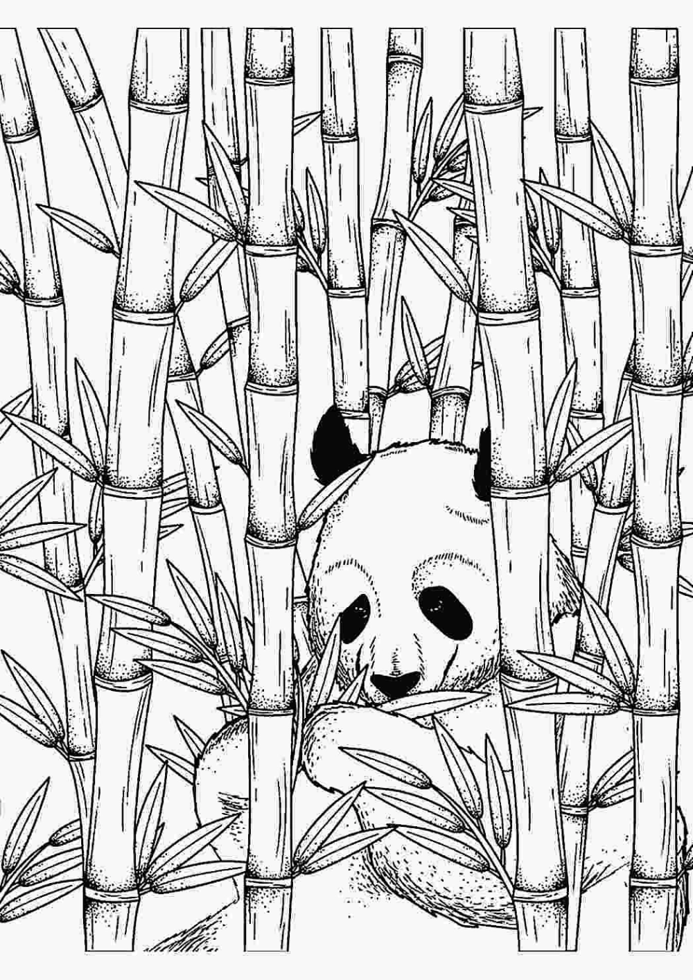 Khám phá ý nghĩa của tranh tô màu cây trúc