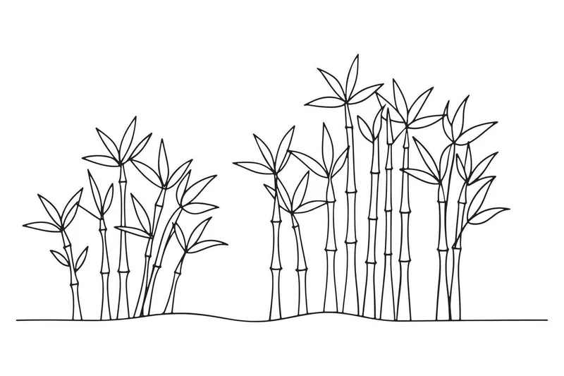 Tham khảo hình tô màu về cây trúc