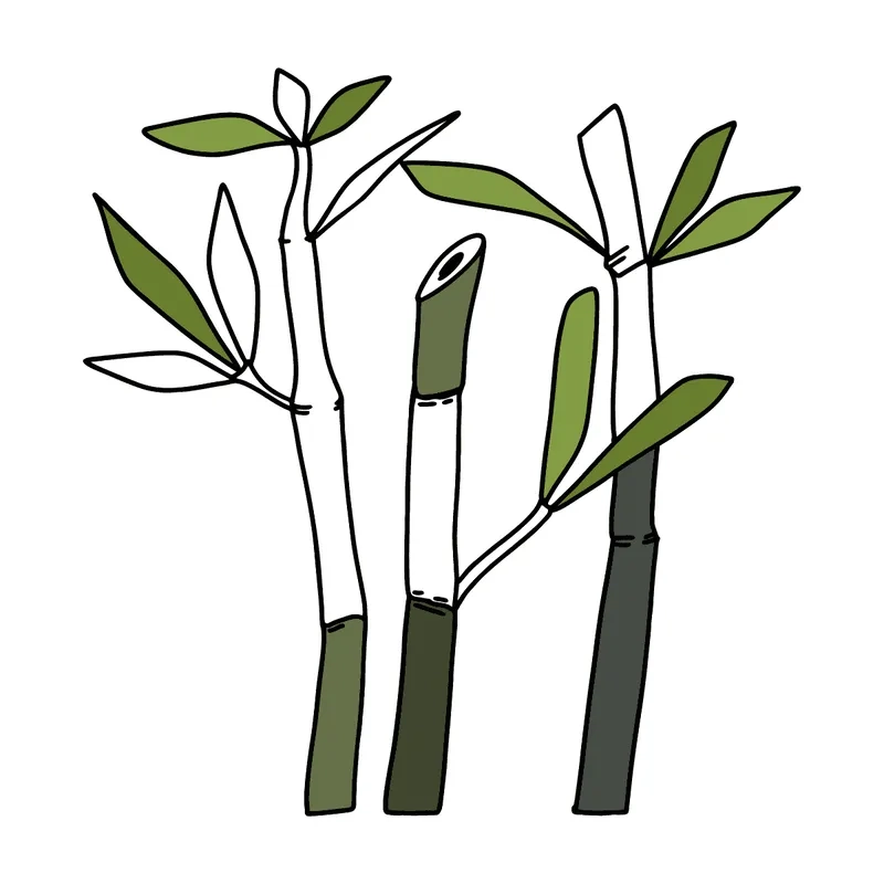 Tổng hợp hình vẽ tô màu cây trúc