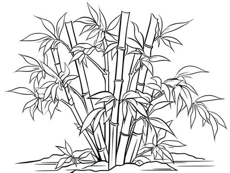 Tranh tô màu bụi trúc xanh mướt